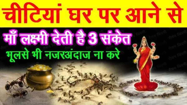 Mother Lakshmi gives 3 signs when ants come to your house